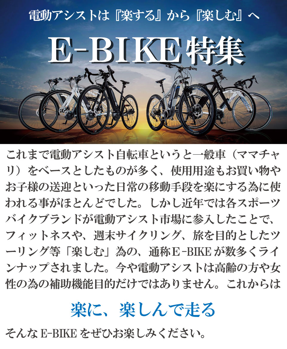 電動アシスト自転車特集