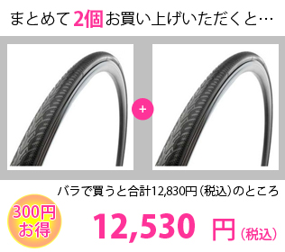 MICHELIN (ミシュラン) 