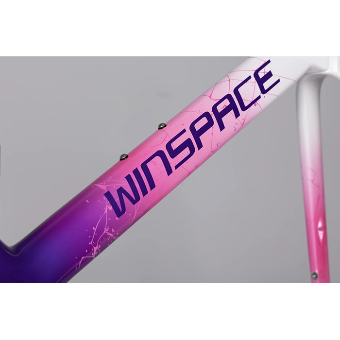 新品)WINSPACE (ウィンスペース) AGILE ミスティーパープル DURA 新品)WINSPACE (ウィンスペース) AGILE ミスティーパープル DURA