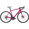 TREK (トレック) 2019モデル Madone SLR 6 Disc Women's R8020 DB