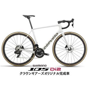 R5 Permafrost 105 R7170 ロードバイク 【48/51/54サイズのみ】