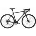 TREK (トレック) 2019モデル Crockett 5 Disc Rival 1 DB