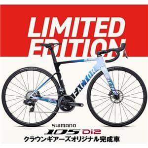 OSTRO VAM Disc TDF EDITION 105 R7170 Di2 12S ロードバイク