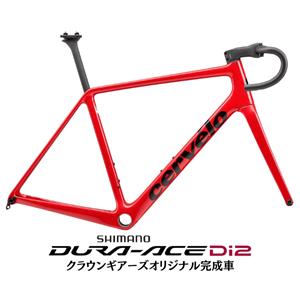 R5 Tiger Eye DURA-ACE R9270 ロードバイク 