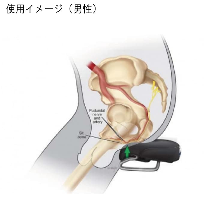 Amazon | ISM Touring サドル ブラック | サドル