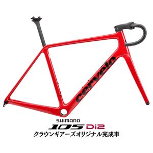 R5 Tiger Eye 105 R7170 ロードバイク【51サイズのみ】