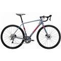 TREK (トレック) 2019モデル Checkpoint AL 4 Tiagra DB