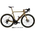 DE ROSA (デローザ) 2021モデル PROTOS DISK フレームセット DB ゴールド