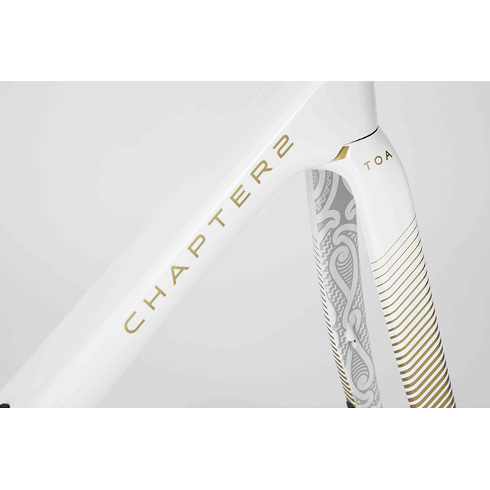 新品)CHAPTER2(チャプター2) TOA KOURA White/Gold APEX AXS