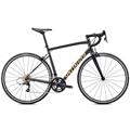 SPECIALIZED (スペシャライズド) 2023モデル Allez Elite RIVAL22 RIM グレー