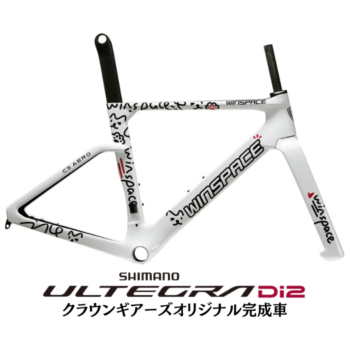 新品)WINSPACE (ウィンスペース) C5 AERO グラフィティ ULTEGRA