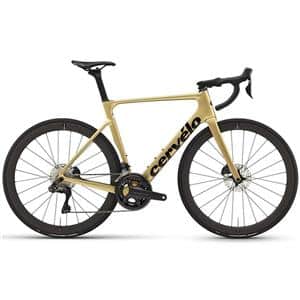 2024 SOLOIST ULTEGRA R8170 DI2 Gold Dust サイズ48 ロードバイク