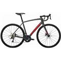 TREK (トレック) 2021モデル DOMANE AL 3 DISC Sora DB グレー