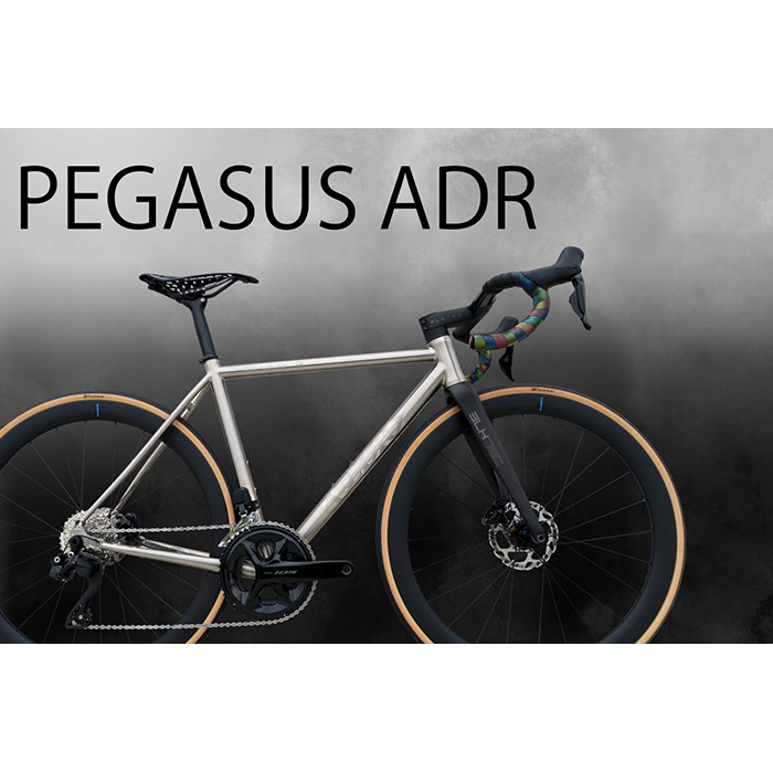 新品)Avedio (エヴァディオ) PEGASUS ADR 105 R7170 Di2 12S 新品)Avedio (エヴァディオ) PEGASUS ADR 105 R7170 Di2 12S