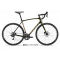 RIDLEY (リドレー) 2021モデル Kanzo Speed GRX810 DB グリーン