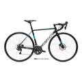 corratec(コラテック) 2023モデル R.T. CARBON DISC R7170 DB ブラック