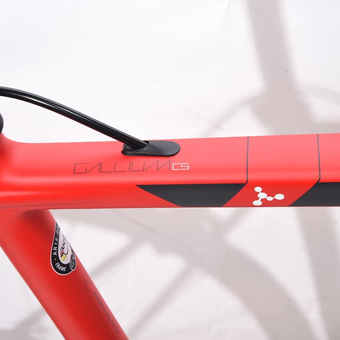 ARGON 18 Galium HM6100 タイヤ抜き（FLOW RIDE ☆ Experience