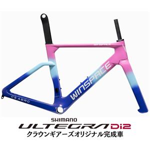 C5 AERO トワイライトグロウ ULTEGRA R8170 ロードバイク