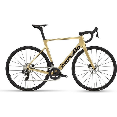 Cervelo (サーベロ) 2023モデル SOLOIST Rival AXS DB ゴールド