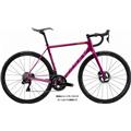 RIDLEY (リドレー) 2022モデル Helium SLX Disc DB フレームセット パープル