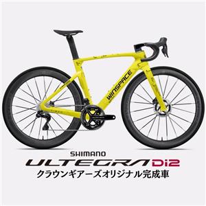 T1600 イエロー/ブラック ULTEGRA R8170 ロードバイク【受注発注：1～2か月】