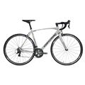 corratec(コラテック) 2023モデル DOLOMITI Tiagra グレー