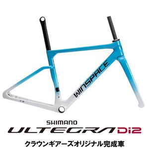 C5 TeamEdition ULTEGRA R8170 ロードバイク