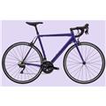 Cannondale (キャノンデール) 2020モデル CAAD OPTIMO R7000 RIM パープル