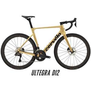 2023年モデル SOLOIST Gold Dust ULTEGRA Di2 R8170 サイズ51 ロードバイク