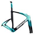 Bianchi (ビアンキ) 2021モデル AQURIA CV R8000 RIM フレームセット チェレステ