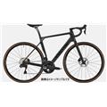 CANYON (キャニオン) 2020モデル ENDURACE CF SL DISC 8.0  R8070 DB グレー