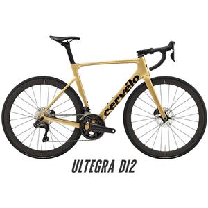 2024 SOLOIST Gold Dust ULTEGRA R8170 Di2 12S サイズ54 ロードバイク