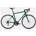 SPECIALIZED (スペシャライズド) 2021モデル Allez Elite  R7000 RIM グリーン