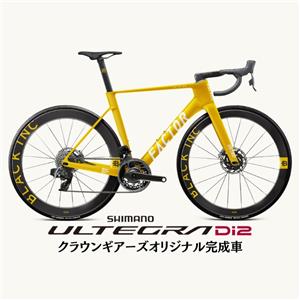 OSTRO VAM 2.0 & Blackinc 48/58 ULTEGRA R8170 54サイズ ロードバイク【TDF Yellowカスタム】