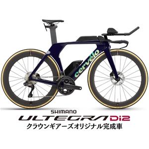 2025 P5 Deep Dahlia ULTEGRA R8170 TT・トライアスロンバイク【48/51/54サイズのみ】