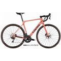 CANYON (キャニオン) 2021モデル ENDURACE CF SL 8 DISC WMN R8020 DB