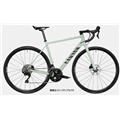 CANYON (キャニオン) 2021モデル ENDURACE 7 DISC R7020 DB