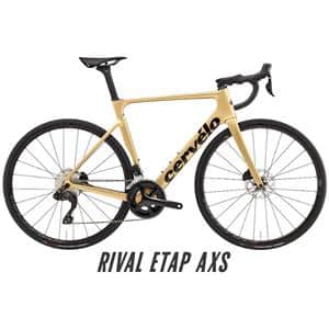 2023 SOLOIST Gold Dust RIVAL eTap AXS サイズ56 ロードバイク