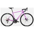 CANYON (キャニオン) 2021モデル ENDURACE 7 DISC WMN R7020 DB
