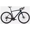 SPECIALIZED (スペシャライズド) 2021モデル Diverge Sport Carbon RX810 DB グリーン