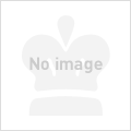 2023モデル AURUM Magma R8170 DB ENVE SES ブラック