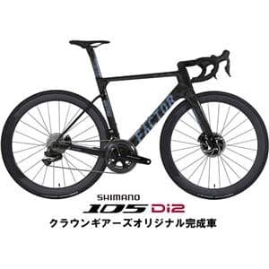 OSTRO VAM Disc Flicker 105 R7170 Di2 12S ロードバイク