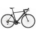 CANYON (キャニオン) 2021モデル ENDURACE CF 7 R7020 RIM