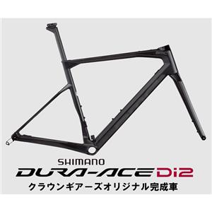 Roadmachine V1 カーボン＆グレー DURA-ACE R9270 ロードバイク