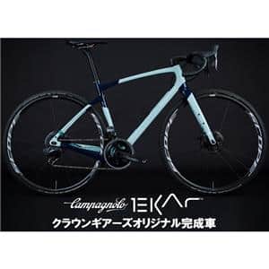 AO AOTEAROA EKAR 1x13S グラベルロードバイク