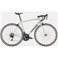 CANYON (キャニオン) 2021モデル ENDURACE 7 R7000 RIM