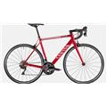 CANYON (キャニオン) 2020モデル ENDURACE CF 7.0 R7000 RIM レッド
