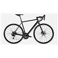 CANYON (キャニオン) 2020モデル ENDURACE AL DISC 7.0 R7020 DB グレー