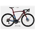 PINARELLO (ピナレロ) 2024モデル DOGMA F DISK DB F/S MW BOR+TALON UL