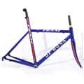 中古)DE ROSA (デローザ) 2009モデル TEAM08 チーム08 サイズ 中古)DE ROSA (デローザ) 2009モデル TEAM08 チーム08 サイズ